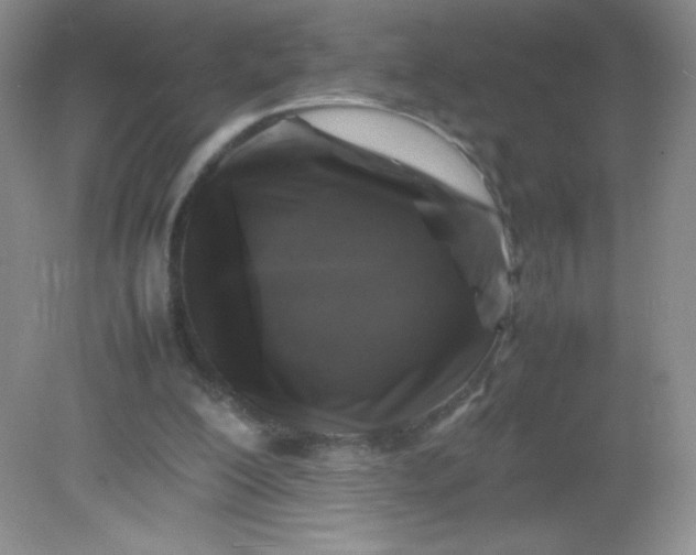 X0000082170200200702021735