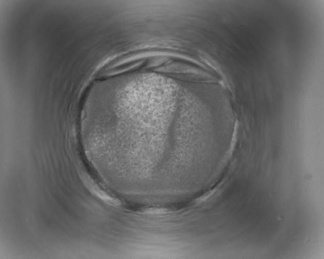 X0000082170203200702021735