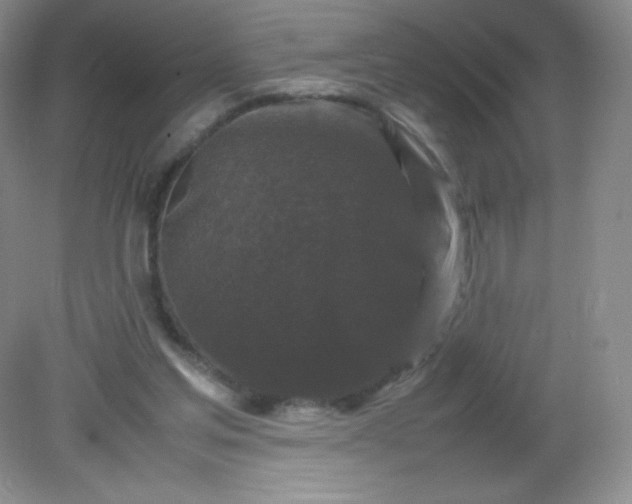 X0000082170205200702021735