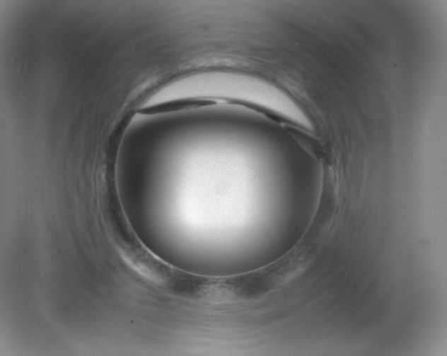 X0000082170207200702021735