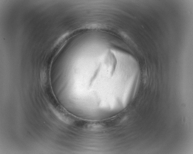 X0000082170208200702021735