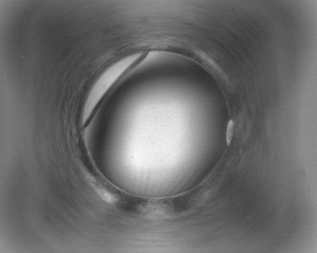 X0000082170209200702021735