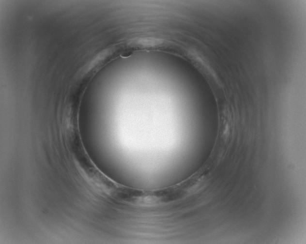 X0000082170212200702021735