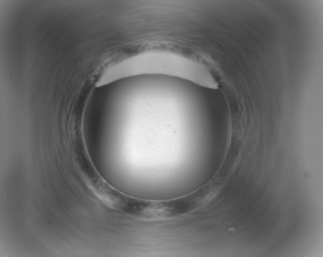 X0000082170213200702021735