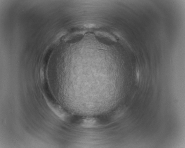 X0000082170214200702021735