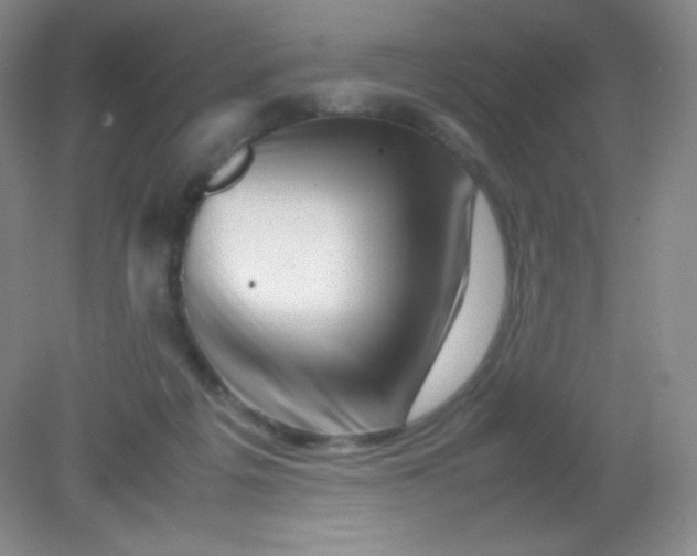 X0000082170217200702021735