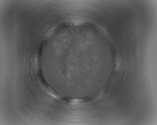 X0000082170222200702021735