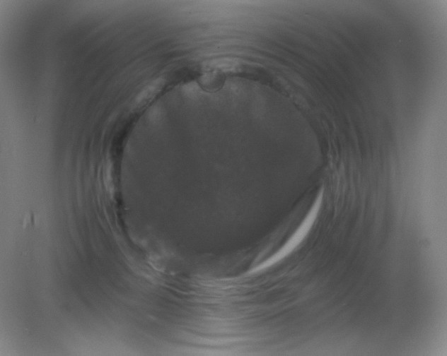 X0000082170224200702021735