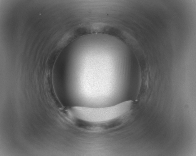 X0000082170225200702021735