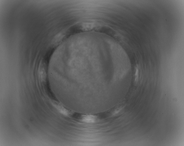 X0000082170226200702021735