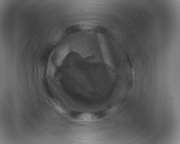 X0000082170227200702021735