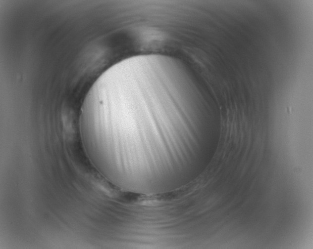 X0000082170228200702021735