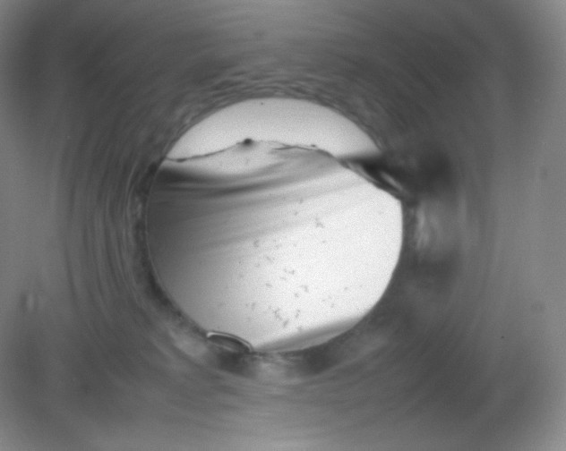 X0000082170229200702021735