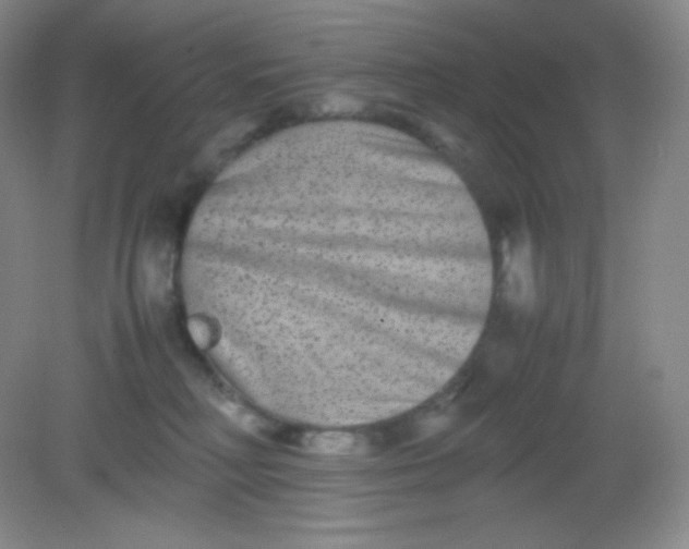 X0000082170230200702021735