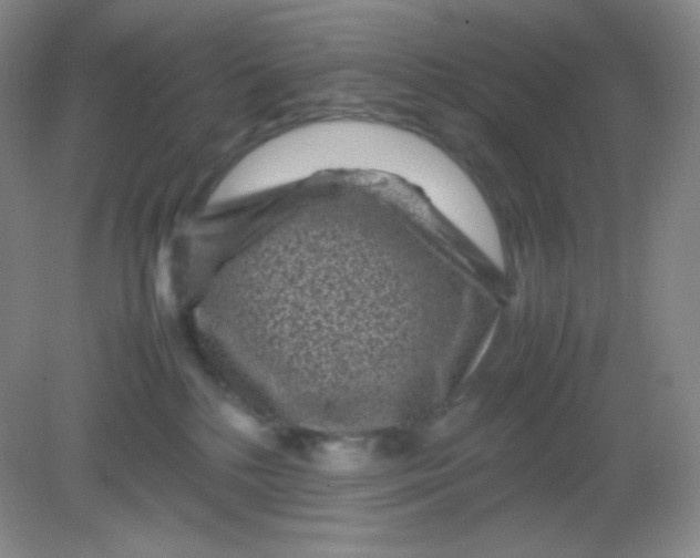 X0000082170232200702021735