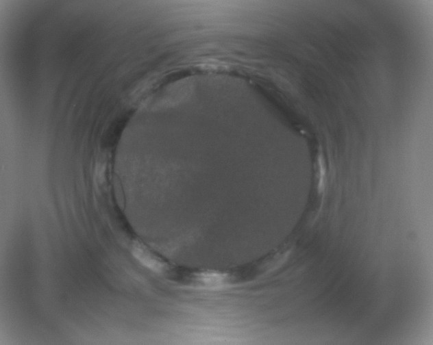 X0000082170233200702021735