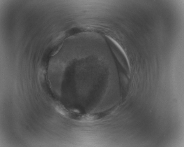 X0000082170235200702021735