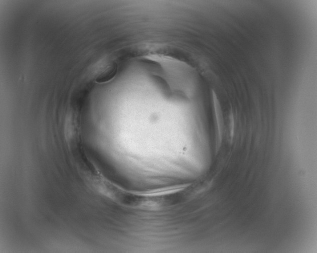 X0000082170236200702021735