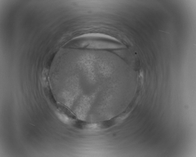 X0000082170237200702021735