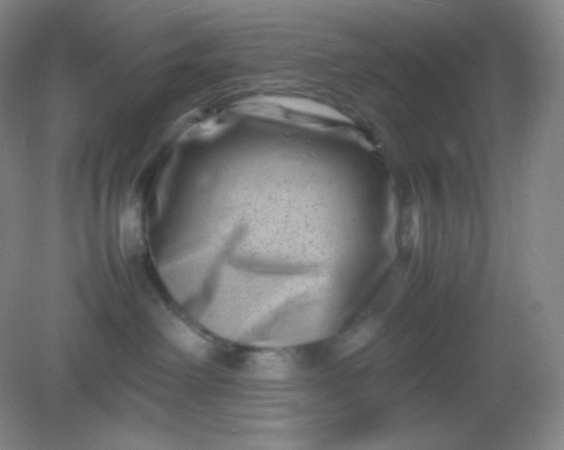 X0000082170238200702021734