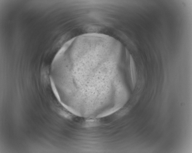 X0000082170240200702021734