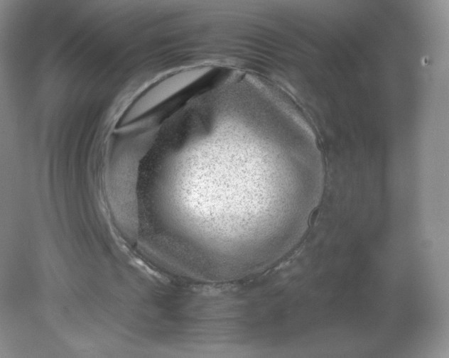 X0000082170241200702021734