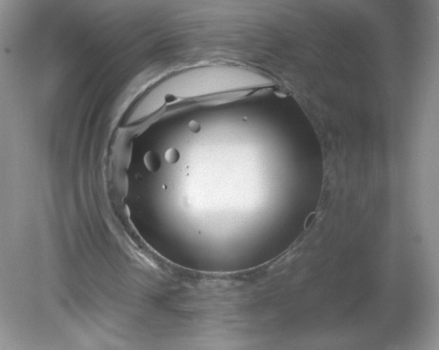 X0000082170242200702021734