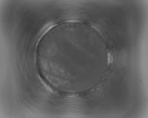 X0000082170243200702021734