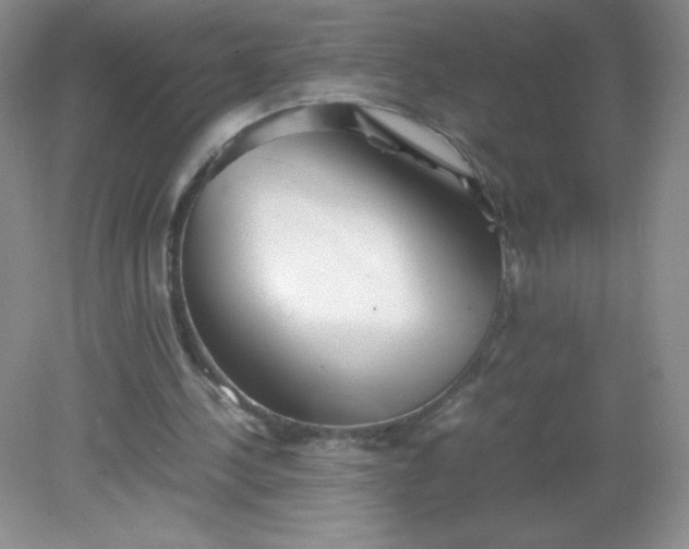 X0000082170244200702021734