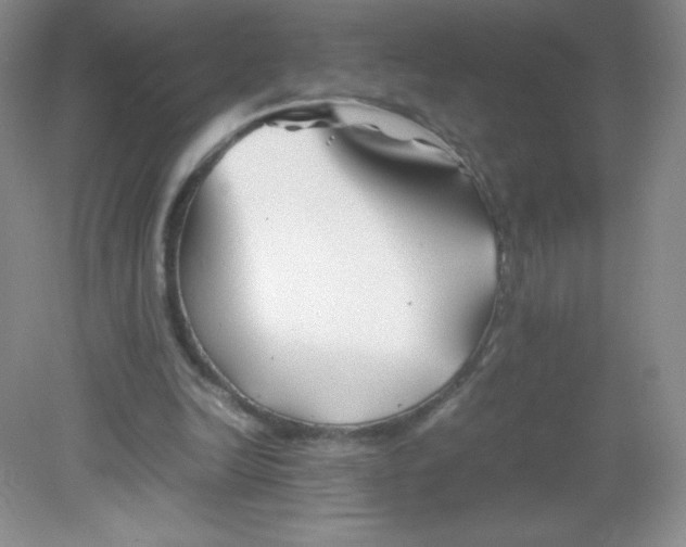 X0000082170246200702021734