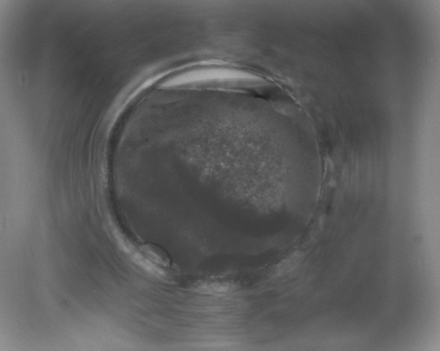 X0000082170247200702021734