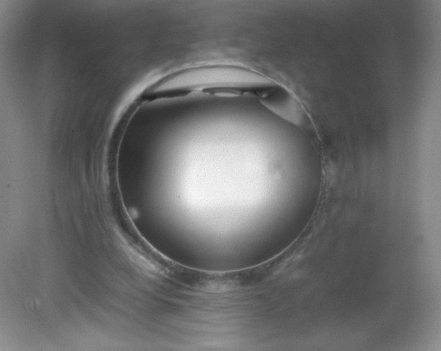 X0000082170248200702021734