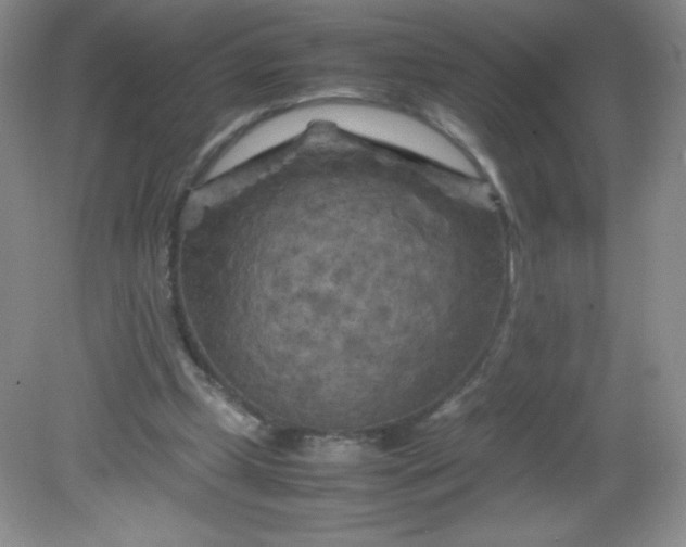 X0000082170249200702021734