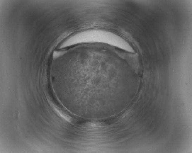 X0000082170250200702021734