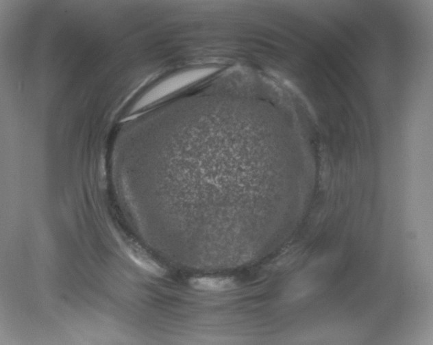 X0000082170251200702021734