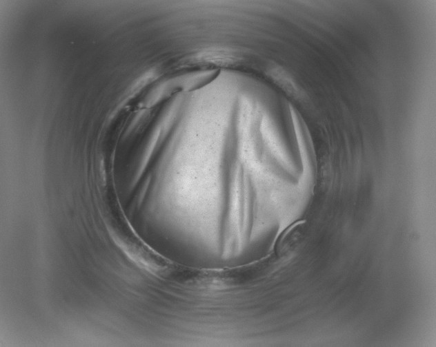 X0000082170254200702021734