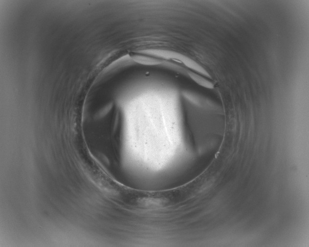 X0000082170255200702021734