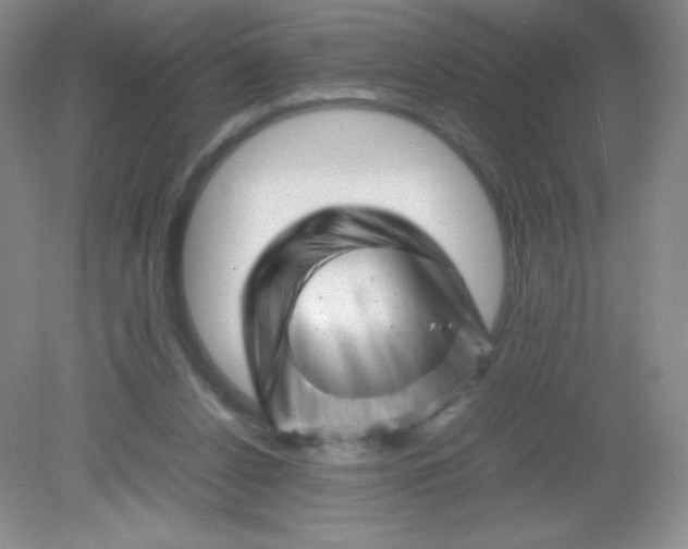 X0000082170256200702021734