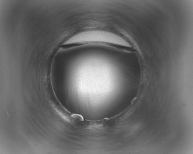 X0000082170257200702021734