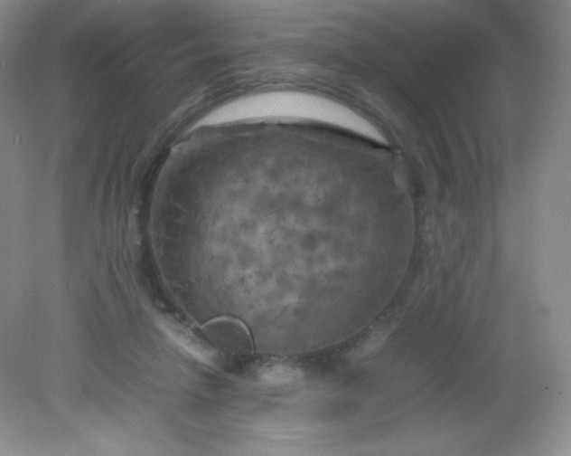 X0000082170258200702021734