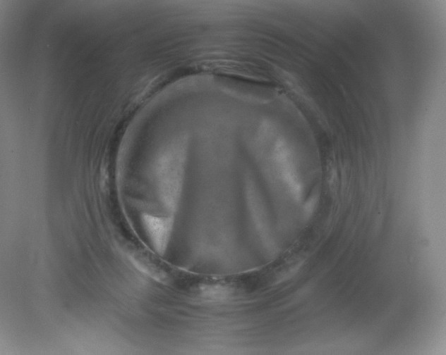 X0000082170259200702021734