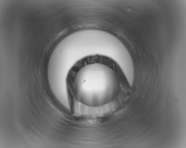 X0000082170260200702021734