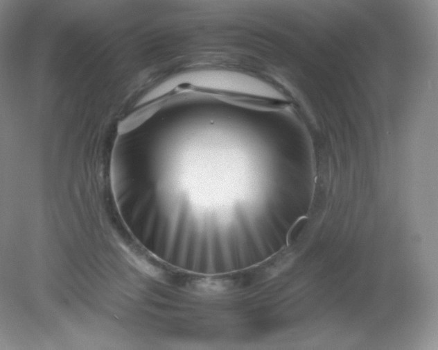 X0000082170261200702021734