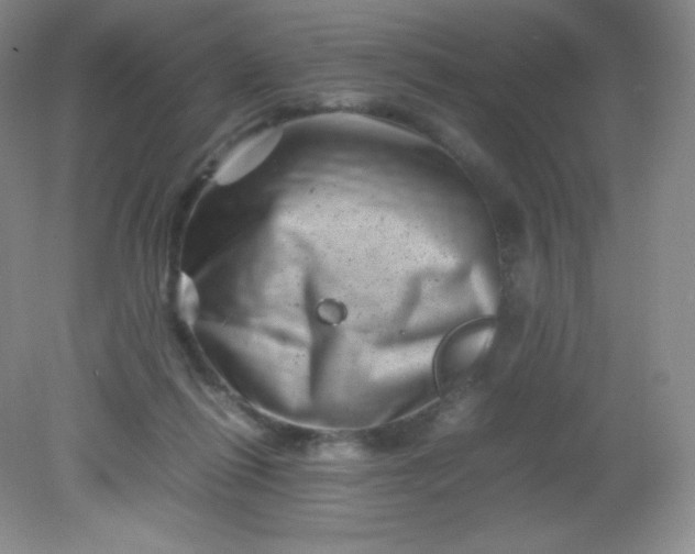 X0000082170262200702021734