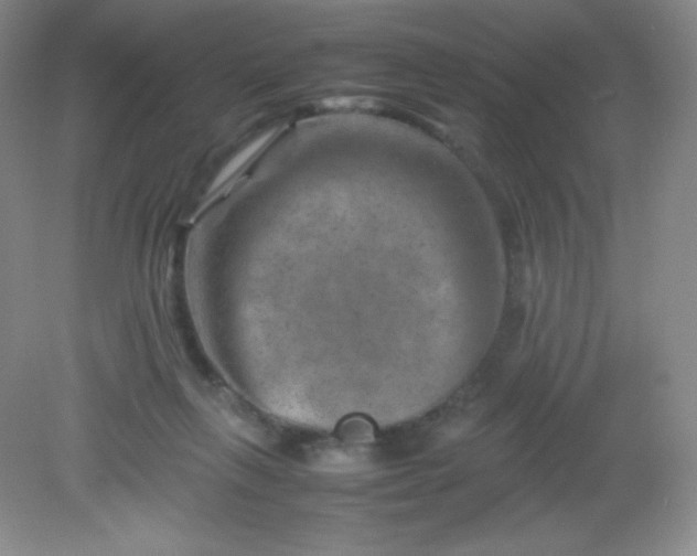 X0000082170263200702021734