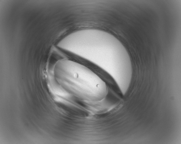 X0000082170264200702021734