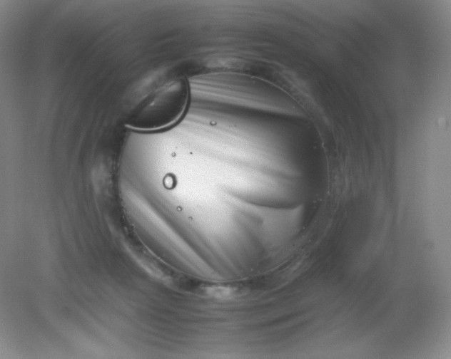 X0000082170265200702021734