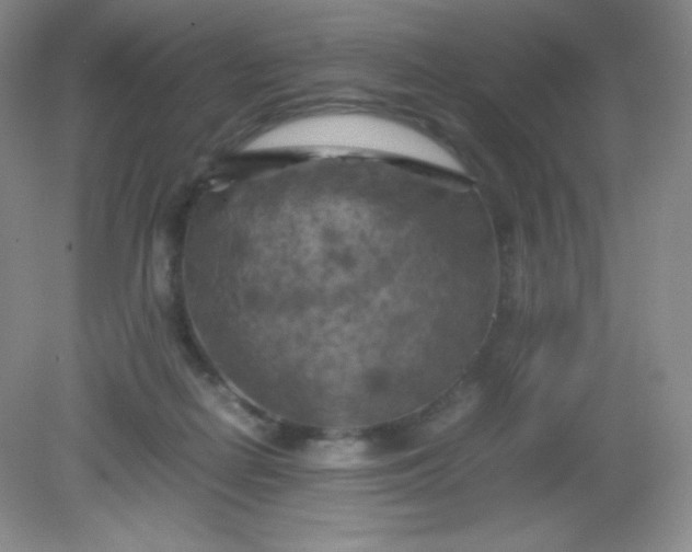 X0000082170266200702021734