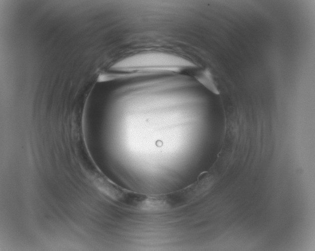 X0000082170270200702021734