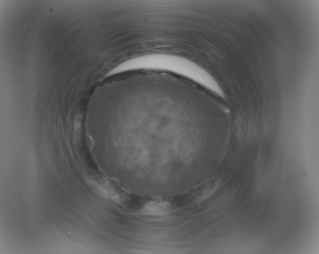 X0000082170271200702021734